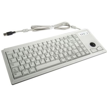 Cherry キーボード USB接続 キー配列：QWERTY (UK) Cherry 産業用PC