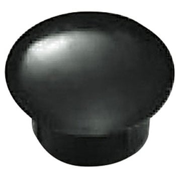 LP-0038 TS���J�N�V LILIEL(�����G��) 49815736