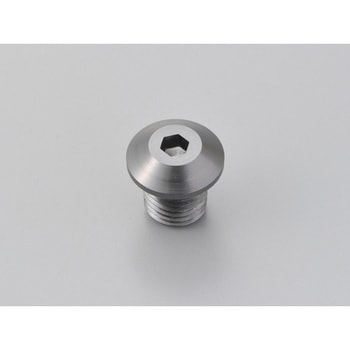 99619 �~���[�����߃{���g DAYTONA(�f�C�g�i) 49990999