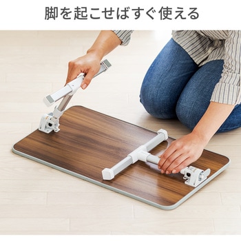 ローデスク サンワダイレクト