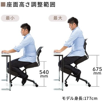 バランスチェア サンワダイレクト