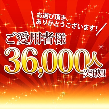 3WAYビジネスバッグ サンワダイレクト