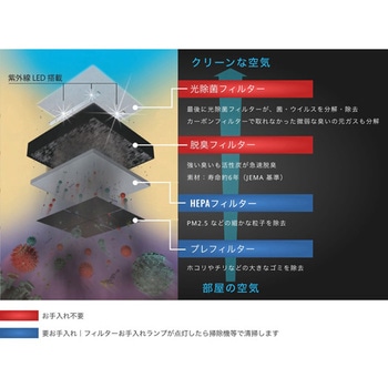 ブルーデオ M型 28畳 マスクフジコー