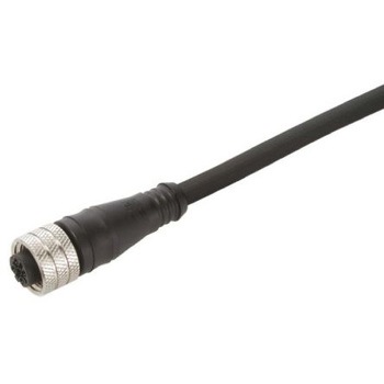 Brad 電源ケーブル 4 A 5m BRAD