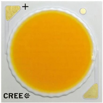 Cree COB LED 白 (23.85 x 23.85 x 1.7mm) CREE