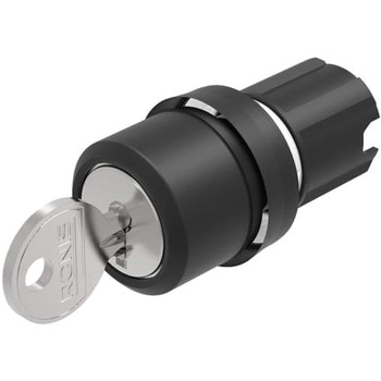 EAO アクチュエータ 10 A モーメンタリ パネルマウント 2極オン / オフスイッチ 22.3 Dia.mm EAO