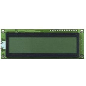 FC1602P00-RNNYBW-66SE Fordata �t���O���t�B�b�N�f�B�X�v���C ���ˌ^ LCD FORDATA 50120806