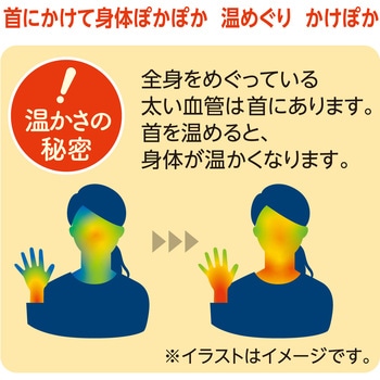 かけぽか LEC(レック)