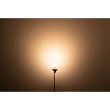 3380 プランツライト BRID 50132479