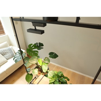 LED SPOT LIGHT for PLANTS BRID