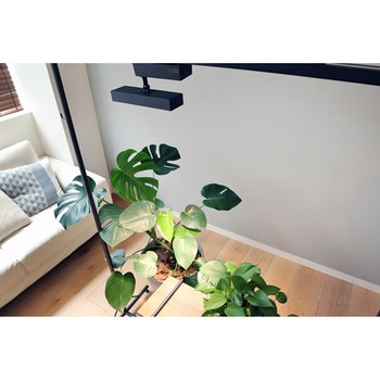 LED SPOT LIGHT for PLANTS BRID