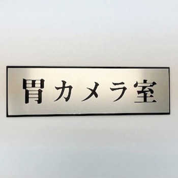 サインプレート 胃カメラ室 光