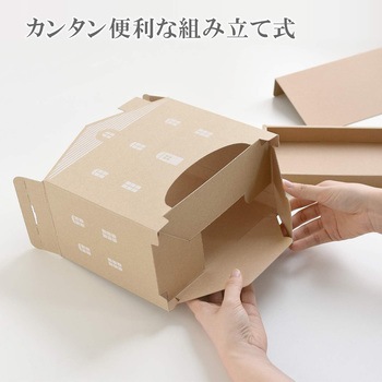 マスクケース 日本製 アーネスト