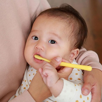 仕上げ専用はみがき ピジョン