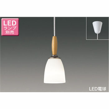 LEDP88032 ���^�y���_���g �t�����W�^�C�v ���Ń��C�e�b�N 50238222