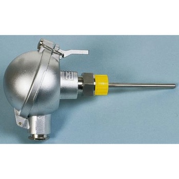CSRIF/100/2XPT100/CLA/D6/RS1 Correge Pt100 ZT PT100 6mm 100mm NXA Correge 50250288