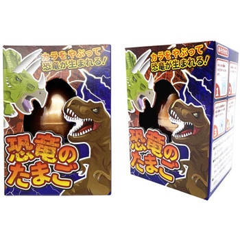 恐竜のたまご 龍屋