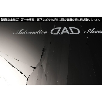 D.A.D モノグラムレザーミラー GARSON
