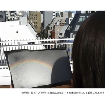 虹ビーズ (700g) ナリカ