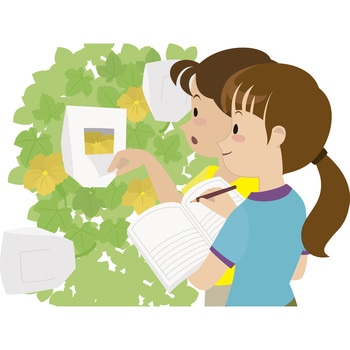 受粉と実のでき方用窓付き袋 ナリカ