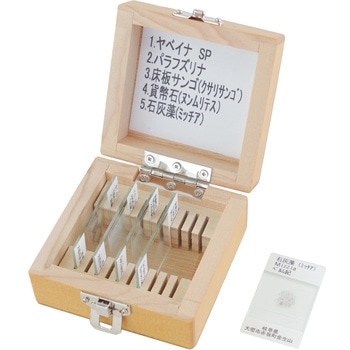 化石プレパラート FOS-5N(5種) - ナリカ