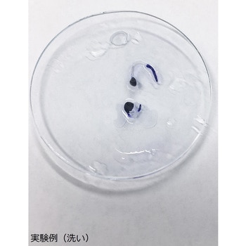 体細胞分裂観察セット ナリカ