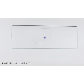 体細胞分裂観察セット ナリカ