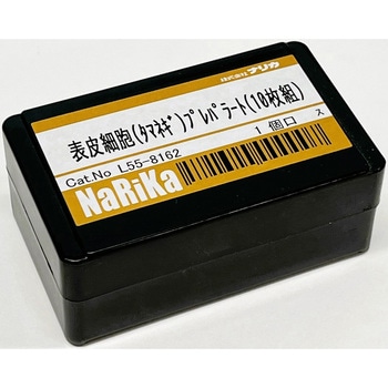 表皮細胞(タマネギ)プレパラート ナリカ