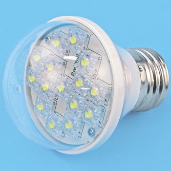 2 pin 12 volt led bulb