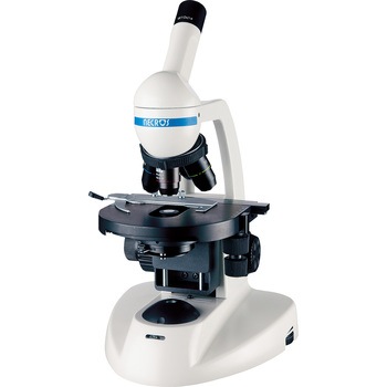 D21-4176  lNX iJ 50449745