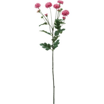 スプレーマム 横浜ディスプレイミュージアム