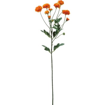 スプレーマム 横浜ディスプレイミュージアム