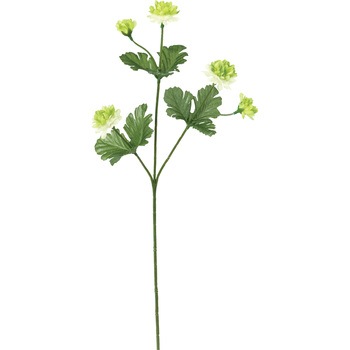 FF -2943 �X�v���[�}�� ���l�f�B�X�v���C�~���[�W�A�� 50476747