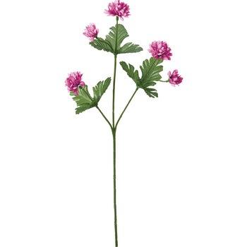 FF -2943 �X�v���[�}�� ���l�f�B�X�v���C�~���[�W�A�� 50476756