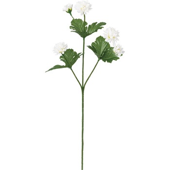 FF -2943 �X�v���[�}�� ���l�f�B�X�v���C�~���[�W�A�� 50476765