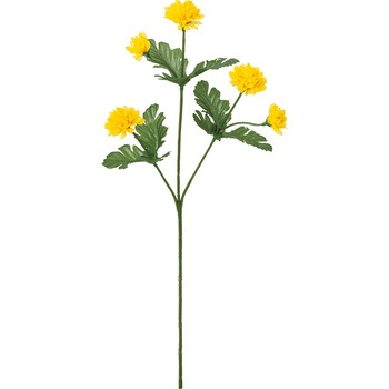 FF -2943 �X�v���[�}�� ���l�f�B�X�v���C�~���[�W�A�� 50476774