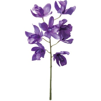 FA -6646 �V���r�W���[�� ���l�f�B�X�v���C�~���[�W�A�� 50476984