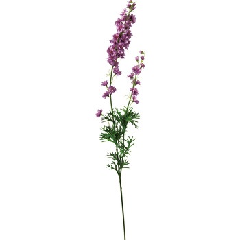 FA -7272 デルフィニューム 横浜ディスプレイミュージアム 50477325