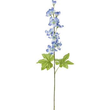 FF -2955 �f���t�B�j���[�� ���l�f�B�X�v���C�~���[�W�A�� 50477343