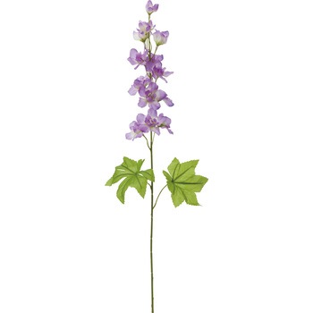 FF -2955 �f���t�B�j���[�� ���l�f�B�X�v���C�~���[�W�A�� 50477359