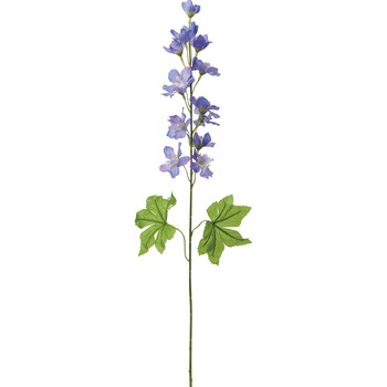 FF -2955 �f���t�B�j���[�� ���l�f�B�X�v���C�~���[�W�A�� 50477368