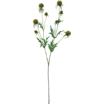 グローブシスルスプレー - 横浜ディスプレイミュージアム