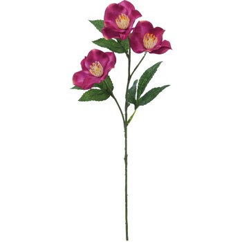 FF -2906 �N���X�}�X���[�Y ���l�f�B�X�v���C�~���[�W�A�� 50479163