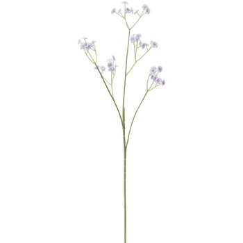 FF -2884 �J�X�~�X�v���[ ���l�f�B�X�v���C�~���[�W�A�� 50479565