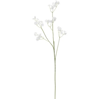 FF -2884 �J�X�~�X�v���[ ���l�f�B�X�v���C�~���[�W�A�� 50479574