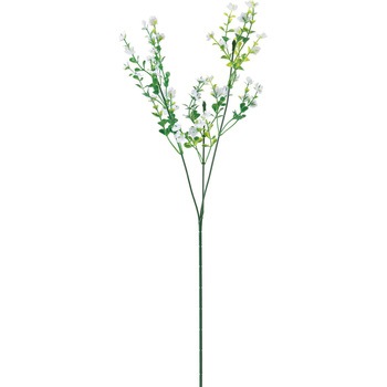 FF -2925 �J�X�~�X�v���[ ���l�f�B�X�v���C�~���[�W�A�� 50479599