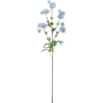 FA -7240 �A�X�g�����e�B�A ���l�f�B�X�v���C�~���[�W�A�� 50479906