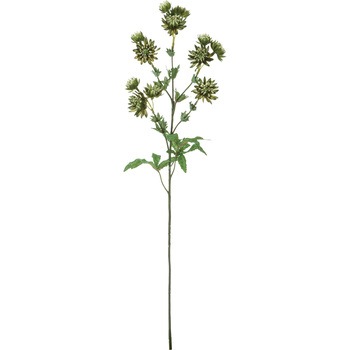 FA -7240 �A�X�g�����e�B�A ���l�f�B�X�v���C�~���[�W�A�� 50479915