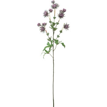 FA -7240 �A�X�g�����e�B�A ���l�f�B�X�v���C�~���[�W�A�� 50479933