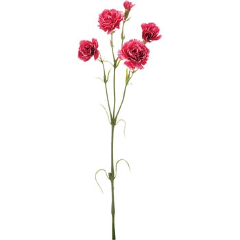 FA -7264 J[l[VXv[ lfBXvC~[WA 50480737